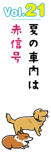夏の車内は赤信号