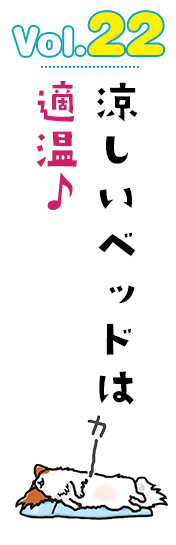 涼しいベッドは適温