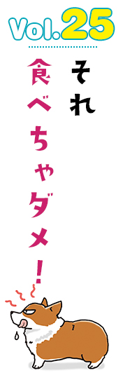 それ食べちゃダメ!