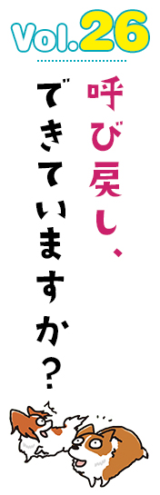 呼び戻し、できていますか?
