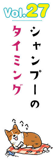 シャンプーのタイミング