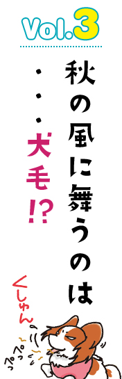 秋の風に舞うのは…犬毛!?