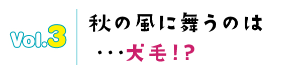 秋の風に舞うのは…犬毛!?