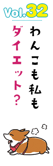 わんこも私もダイエット?