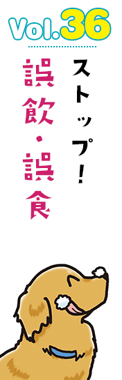ストップ!誤飲・誤食