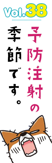予防注射の季節です。