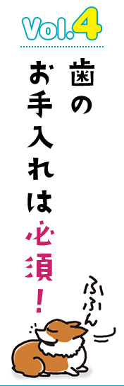歯のお手入れは必須!