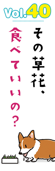 その草花、食べていいの?