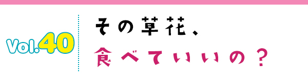 その草花、食べていいの?