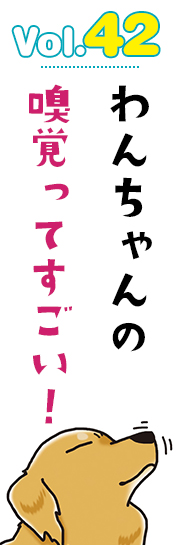 わんちゃんの嗅覚ってすごい!
