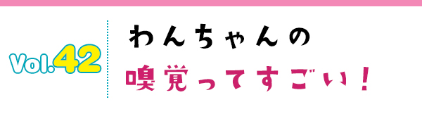 わんちゃんの嗅覚ってすごい!