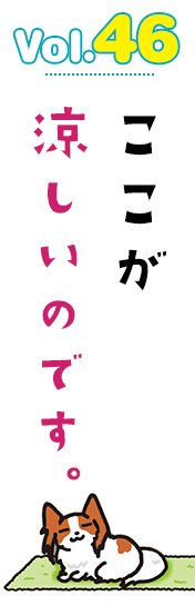 ここが涼しいのです。