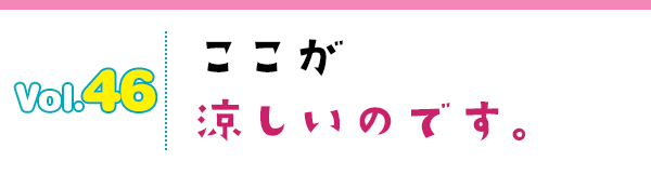 ここが涼しいのです。