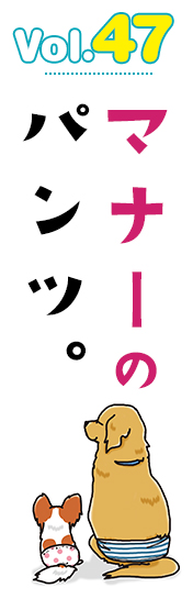 マナーのパンツ。