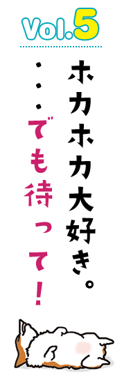 ホカホカ大好き。 …でも待って!