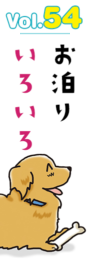 お泊りいろいろ
