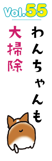 わんちゃんも大掃除