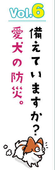 備えていますか?愛犬の防災。