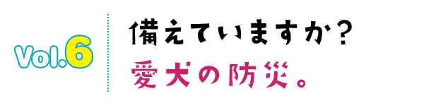 備えていますか?愛犬の防災。