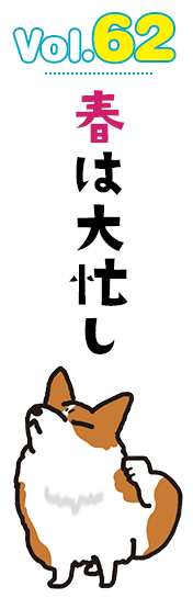 春は大忙し