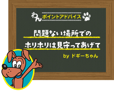 問題ない場所でのホリホリは見守ってあげて
