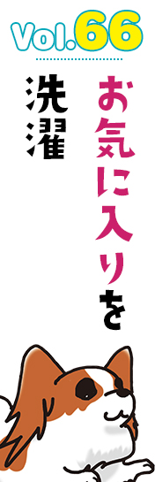 お気に入りを洗濯