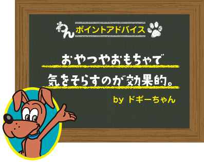 おやつやおもちゃで
気をそらすのが効果的。