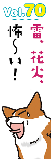 雷、花火、怖〜い!