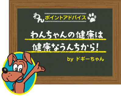 わんちゃんの健康は健康なうんちから!