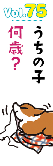 うちの子何歳?