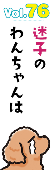 迷子のわんちゃんは