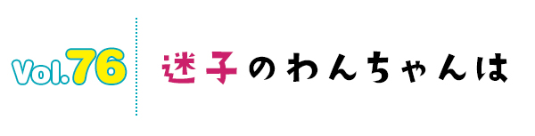 迷子のわんちゃんは