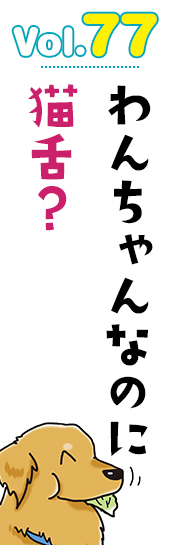わんちゃんなのに猫舌?