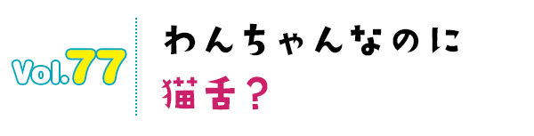 わんちゃんなのに猫舌?