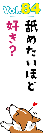 舐めたいほど好き?