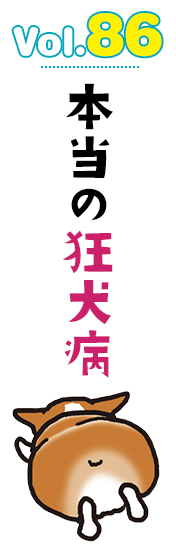 本当の狂犬病