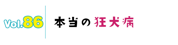 本当の狂犬病