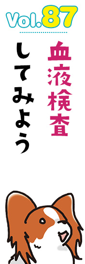 血液検査してみよう