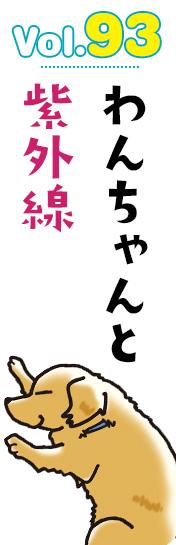 わんちゃんと紫外線