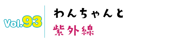 わんちゃんと紫外線