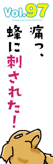 痛っ、蜂に刺された!