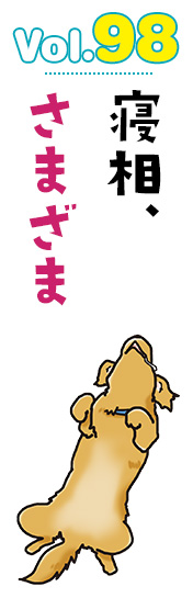 寝相、さまざま