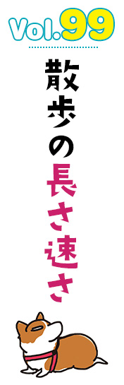 散歩の長さ速さ