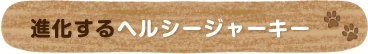 進化するヘルシージャーキー