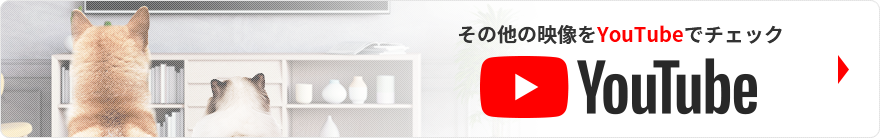 その他の映像をYouTubeでチェック