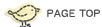 PAGE TOP