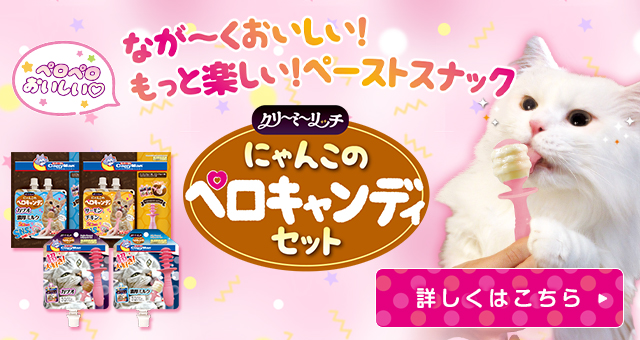 ペロキャンディセット