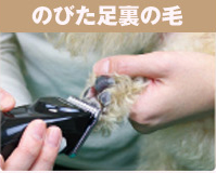 ホームバーバー おうちで簡単バリカンお手入れ ホームバーバー おうちで簡単バリカンお手入れ