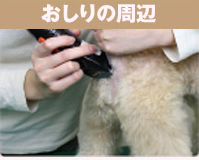 ホームバーバー：おうちで簡単バリカンお手入れ