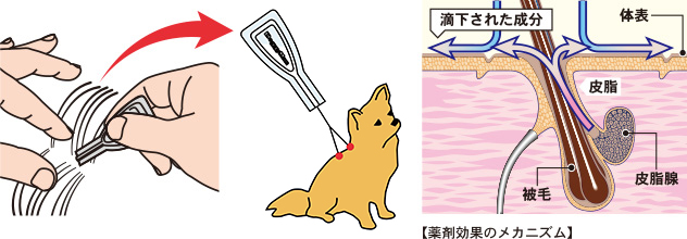 【極美品】犬と猫の救急救命手技 犬と猫の救急診療ファーストコンタクト 株式会社 緑書房